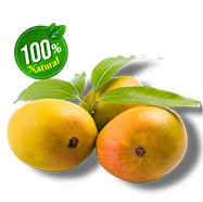 Ratnagiri Hapus