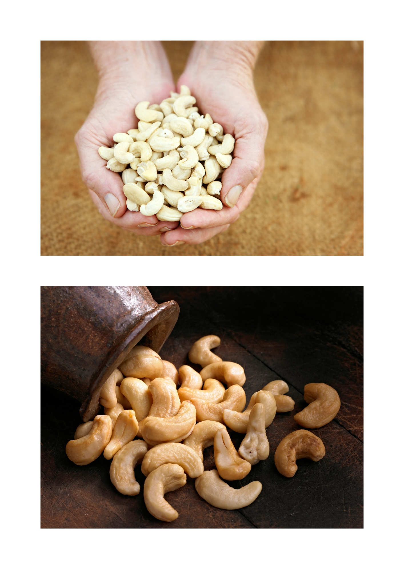 Kaju Gar (Cashew Nut)
